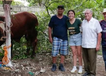 Promueve el maltrato animal en Umán la política Conchita Ruiz