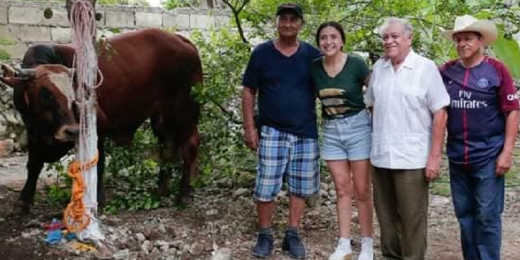 Promueve el maltrato animal en Umán la política Conchita Ruiz