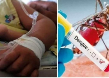 Muere por dengue otro menor en Yucatán, ahora en Akil
