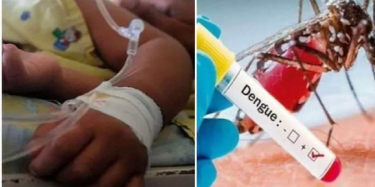 Muere por dengue otro menor en Yucatán, ahora en Akil
