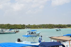 Por contra los cargamentos la pesca de pulpo en una jornada no excede los 50 kilogramos.