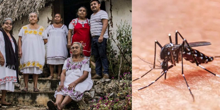 Muere paciente por dengue en Valladolid; el hombre originario de Chemax tenía 50 años