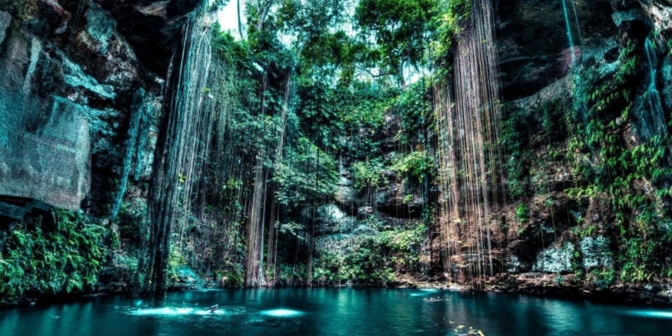Los Cenotes: Maravillas Geológicas de la Península de Yucatán